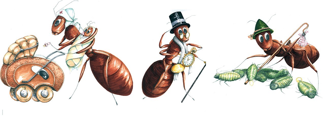 Drei Zeichnungen geben Ameisen-&quot;Berufe&quot; wieder: Die Amme, den Bräutigam/die Drohne und den Milbenhirten.